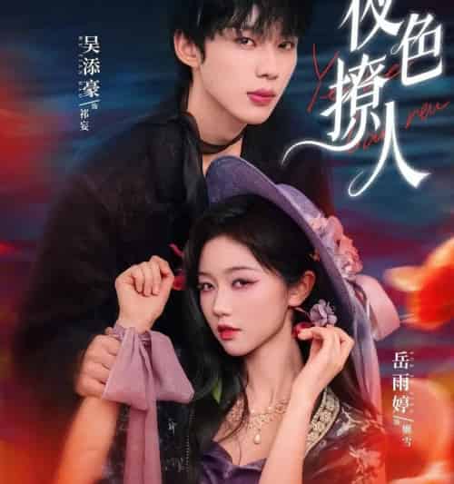 夜色撩人（76集全）岳雨婷＆吴添豪-搜外项目网