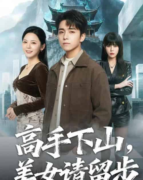 高手下山，美女请留步（80集全）金大钟＆李图图-搜外项目网