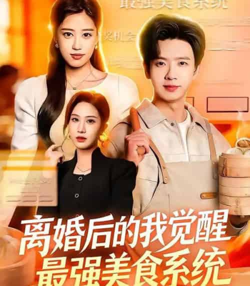 离婚后的我觉醒最强美食系统（80集全）郑源＆雷鸣-搜外项目网