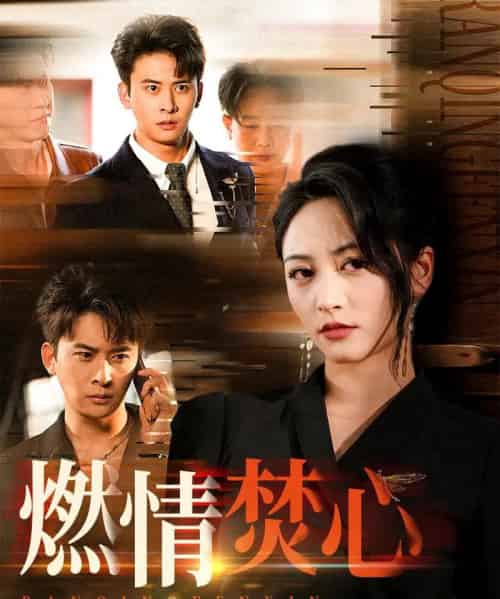 燃情焚心（65集）刘渝展＆李虹艺-搜外项目网