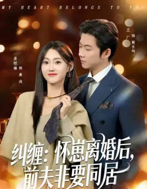纠缠：怀崽离婚后，前夫非要同居（80集全）姜恺琳＆王厂-搜外项目网