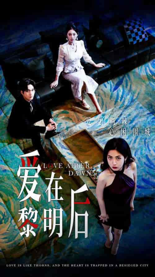 爱在黎明后（40集全）-搜外项目网