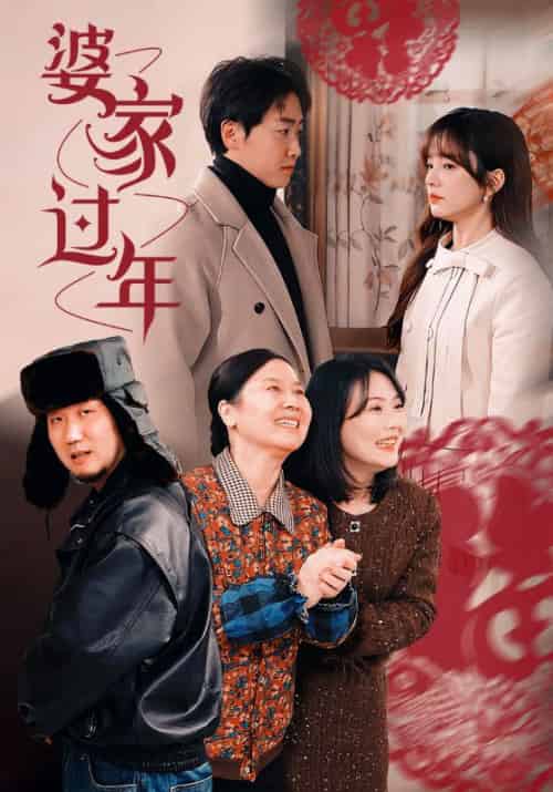 婆家过年（71集全）王子怡-搜外项目网