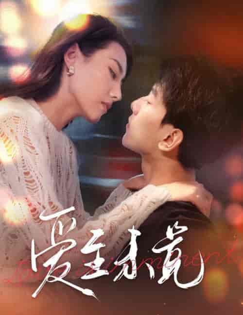 爱至未觉＆爱若盛夏将至（60集全）-搜外项目网
