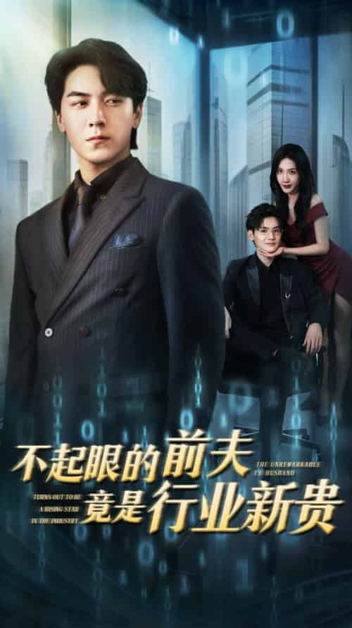 不起眼的前夫竟是行业新贵（60集全）李槿＆牛一凡-搜外项目网