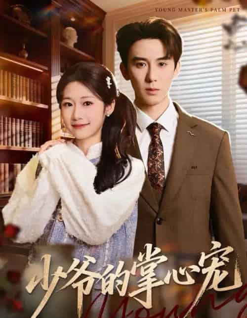 少爷的掌心宠（80集全）张凯帝＆叶婧依-搜外项目网