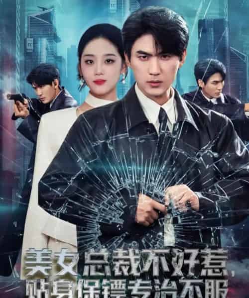 美女总裁不好惹,贴身保镖专治不服(84集全)周朕&宋宇欣-搜外项目网