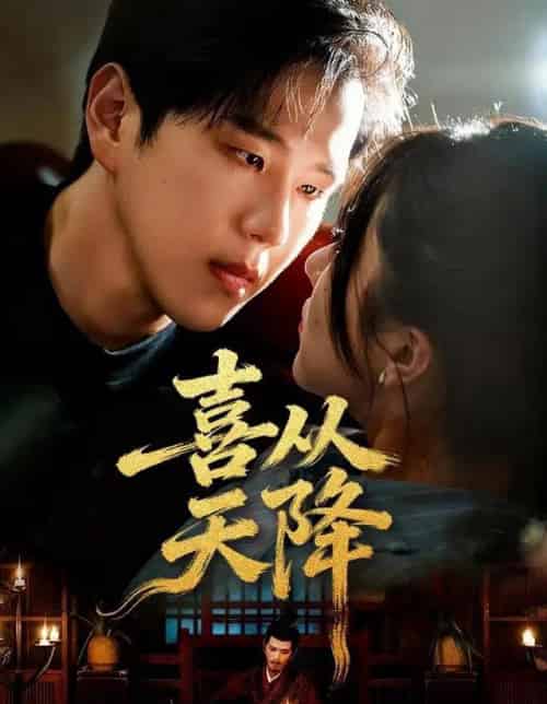 喜从天降（50集全）罗嘉麒＆辛润茜-搜外项目网