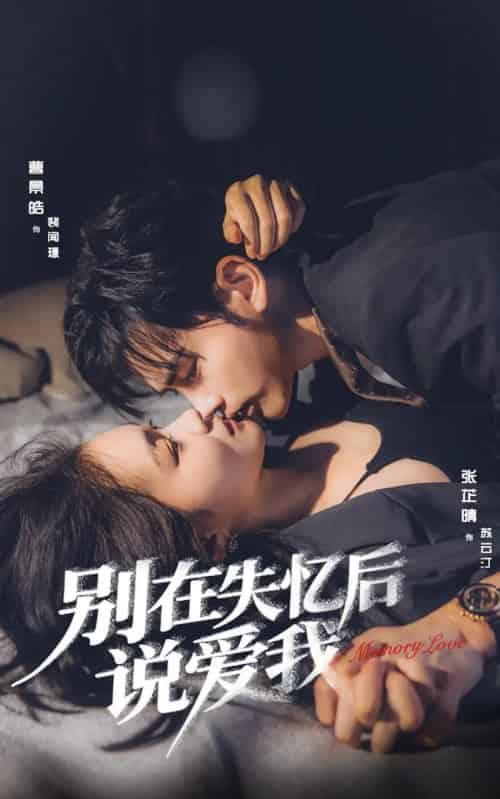 别在失忆后说爱我(73集全)曹景皓&张芷晴-搜外项目网