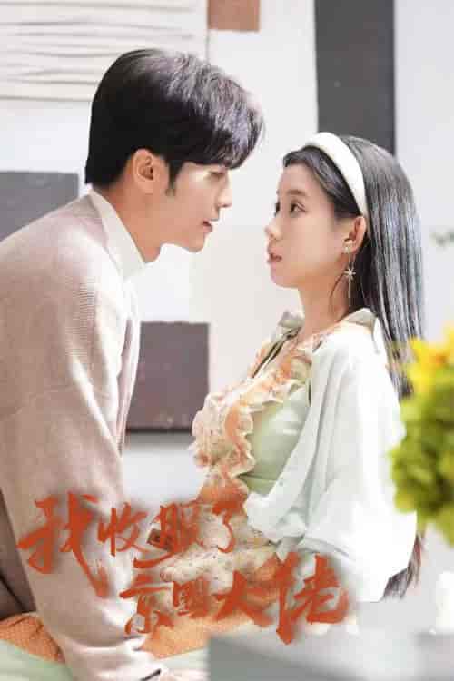 我收服了京圈大佬（30集全）王奕然＆李丫丫-搜外项目网