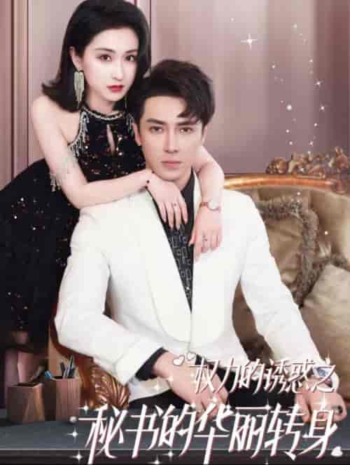 权利的诱惑之秘书的华丽转身（100集全）王梓亦＆崔十一-搜外项目网