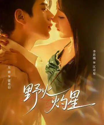 野火灼星（56集全）左铭＆李若琪-搜外项目网