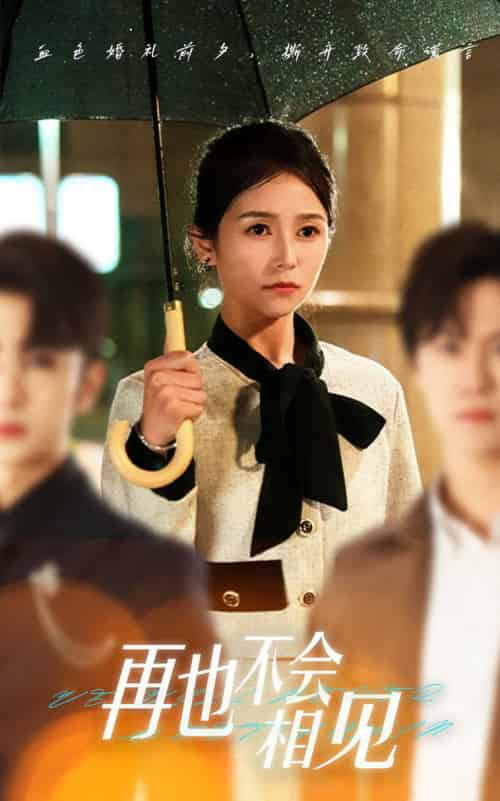 再也不会相见(33集全)严雯丽&谢柏燊-搜外项目网