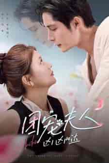 团宠夫人凶凶哒（126集）柯俊 李家园子-搜外项目网