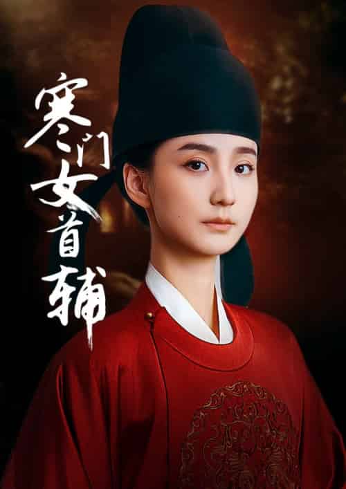寒门女首辅（80集全）陈政阳＆许晓诺-搜外项目网