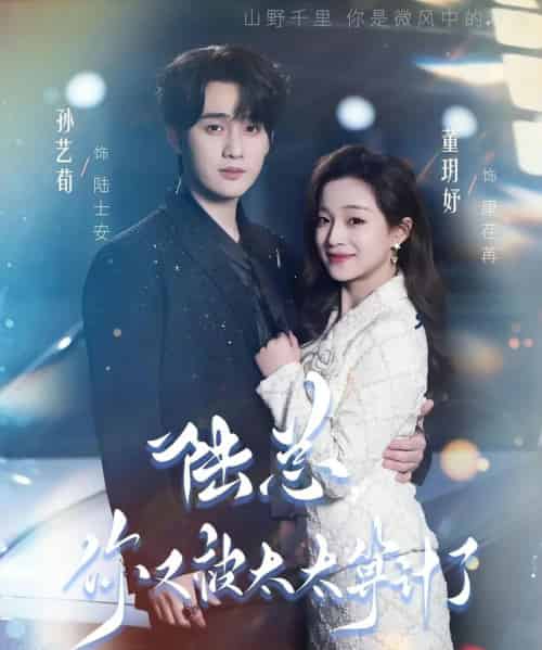 陆总，你又被太太算计了（70集全）董玥妤＆孙艺荀-搜外项目网