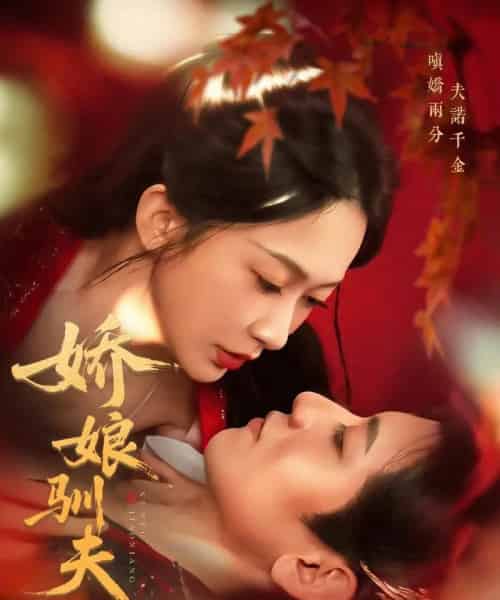 娇娘驯夫（82集）王金宝＆迟宁宁-搜外项目网