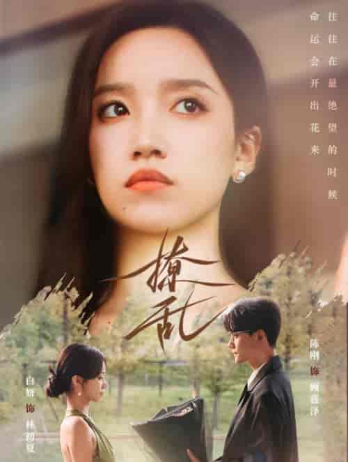 撩乱（65集全）陈刚＆白妍-搜外项目网