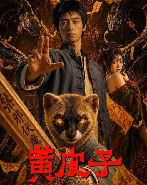 黄皮子你看我像人还是像神AI真人版(65集全)-搜外项目网