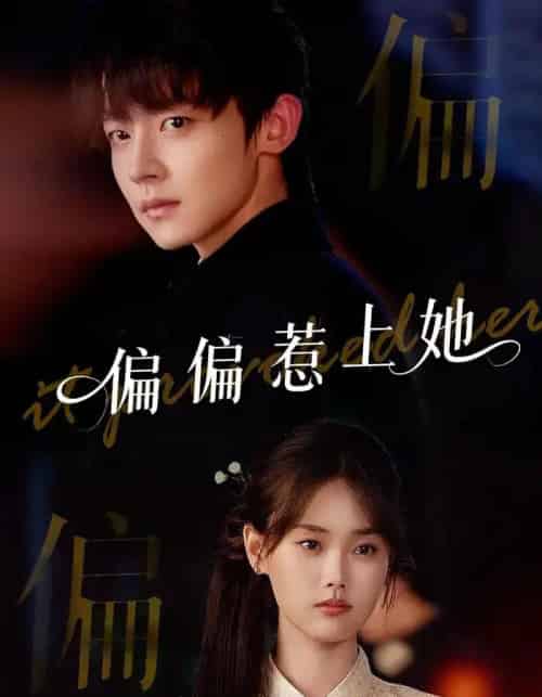 偏偏惹上她(55集)张颖菲&李泽宇&任润博-搜外项目网
