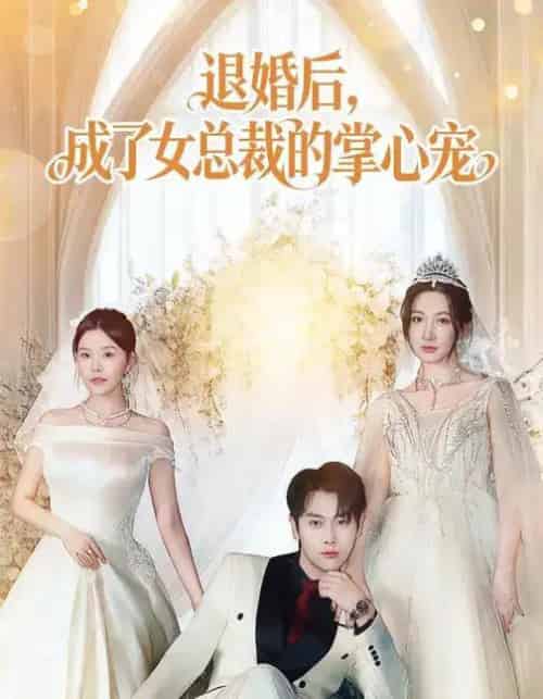 退婚后，成了女总裁的掌心宠（78集全）韩非儿＆刘锦辰-搜外项目网