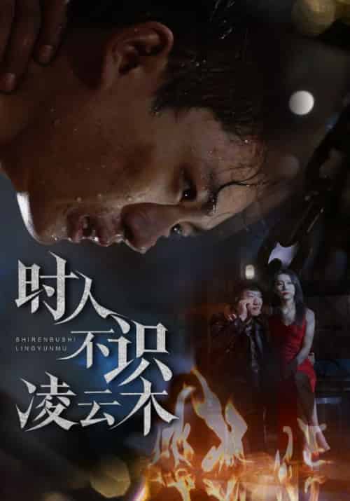 时人不识凌云木（51集全）魏如龙＆汤文馨-搜外项目网