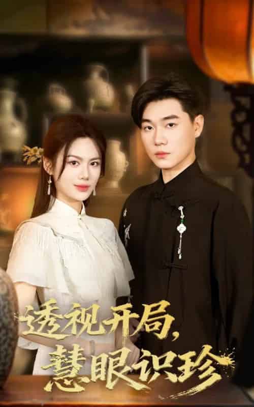 透视开局慧眼识珍(87集全)李承熹&文昕-搜外项目网