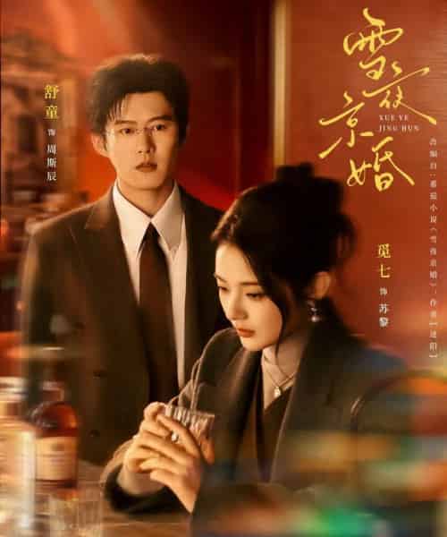 雪夜京婚（84集全）舒童＆觅七-搜外项目网