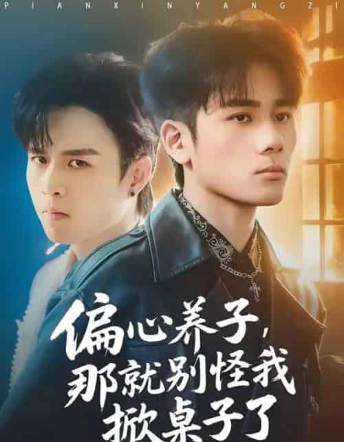 偏心养子,那就别怪我掀桌子了(80集全)张宇祥&周晓-搜外项目网