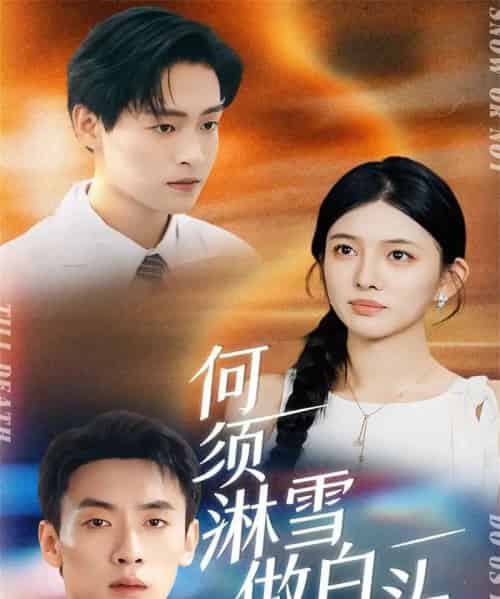 何须淋雪做白头（93集全）成岳＆吴若溪-搜外项目网