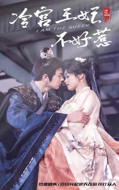 冷宫王妃不好惹（78集）余茵-搜外项目网