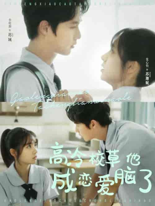 高冷校草他成恋爱脑了（80集全）李明源＆张心怡-搜外项目网