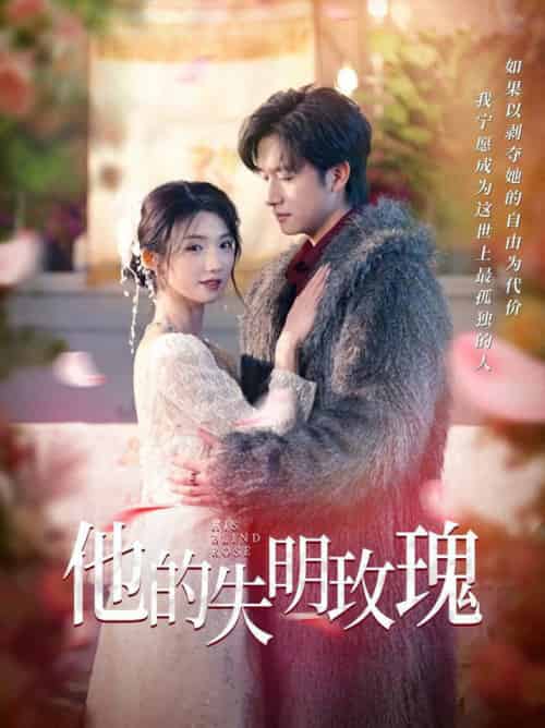 他的失明玫瑰（70集全）王彬茗＆陈明-搜外项目网