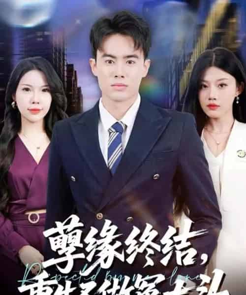 孽缘终结,重生不做冤大头(80集全)王蕴成&李梓荧-搜外项目网