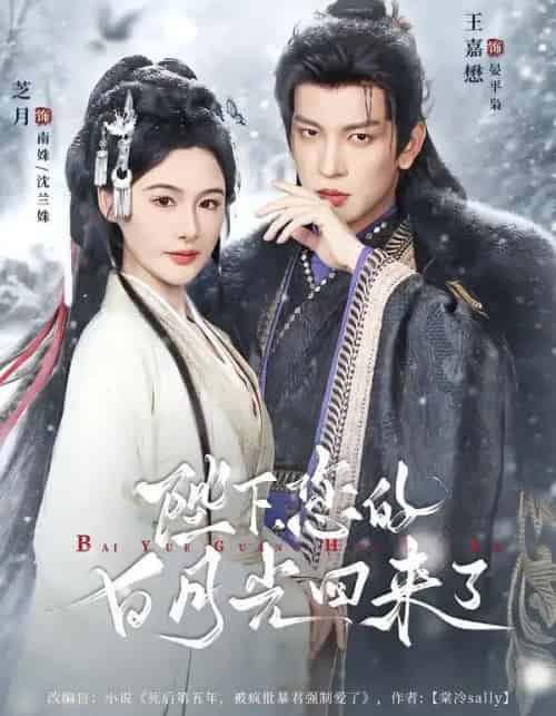 陛下您的白月光回来了（100集全）王嘉懋＆芝月-搜外项目网