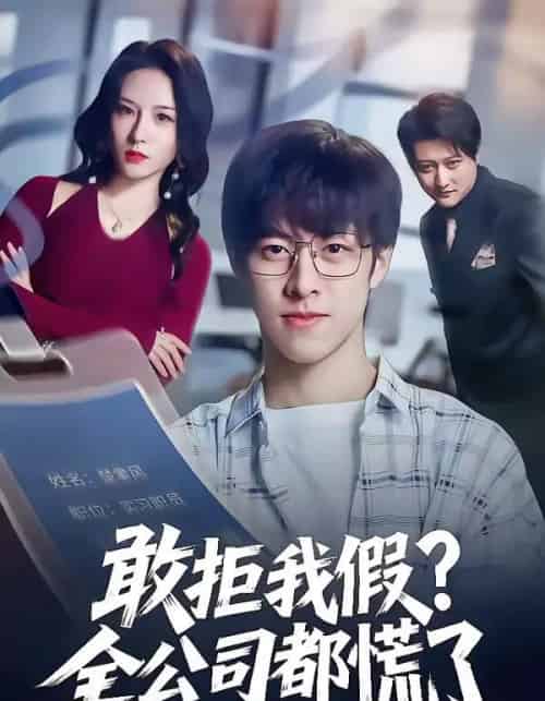 敢拒我假全公司都慌了（32集全）金浩男＆刘静怡-搜外项目网