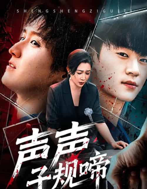 声声子规啼（64集全）寇腾文＆杨晓彤-搜外项目网