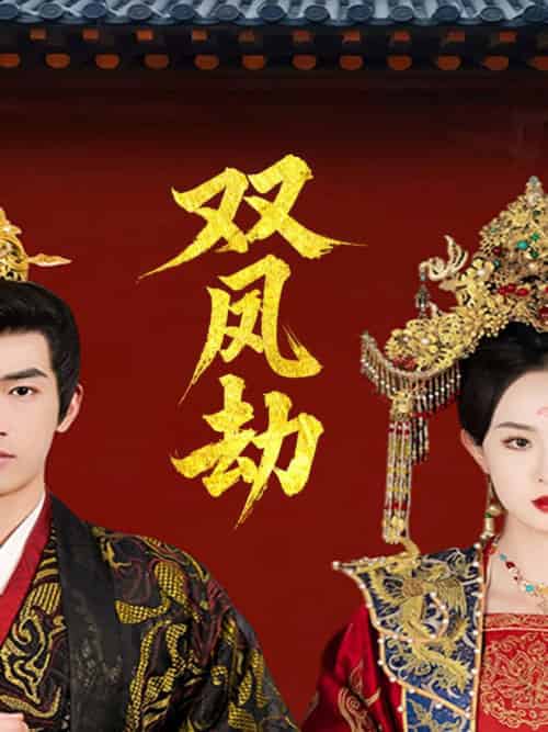 双凤劫＆将军骨美人谋（91集全）禹星臣＆张艺霖-搜外项目网