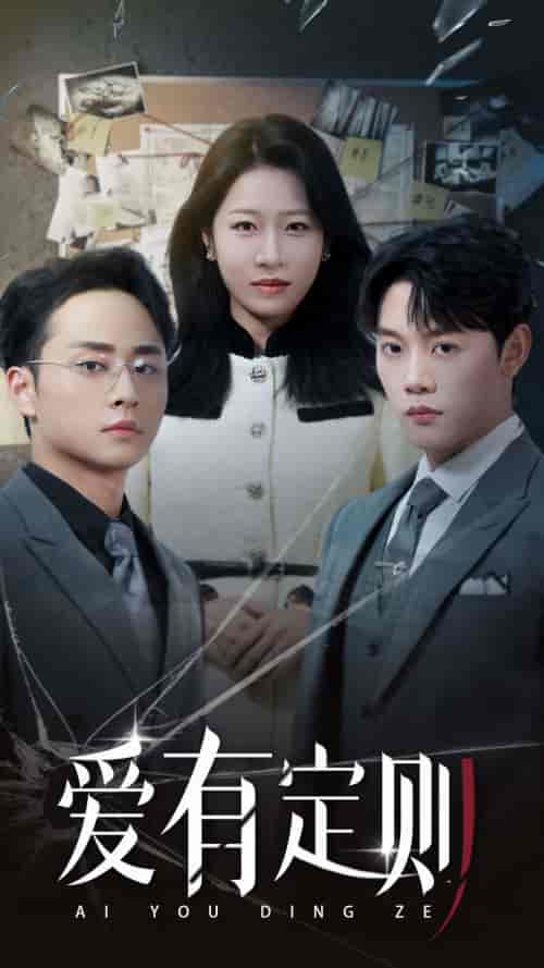 《爱有定则》全集剧情介绍 - 搜外短剧