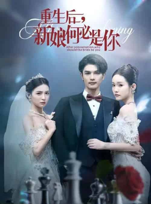 重生后新娘何必是你 (60集)-搜外项目网