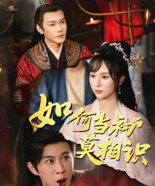 如何当初莫相识（60集）颜铭利＆陶思源-搜外项目网