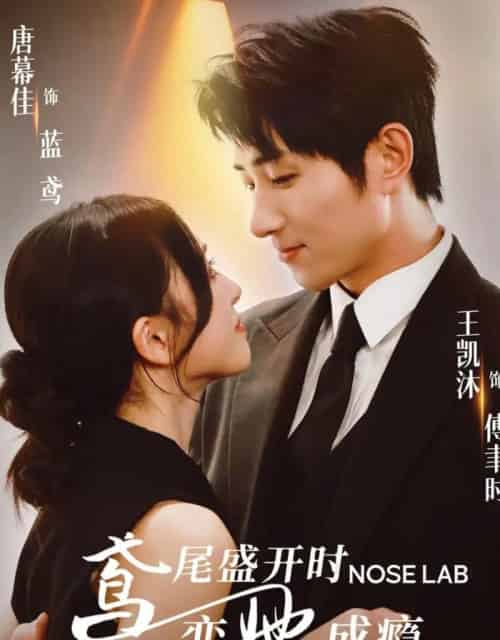 鸢尾盛开时恋她成瘾(20集)王凯沐&唐幕佳-搜外项目网