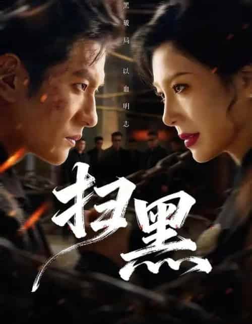 扫黑(70集全)黄涛&章滢-搜外项目网