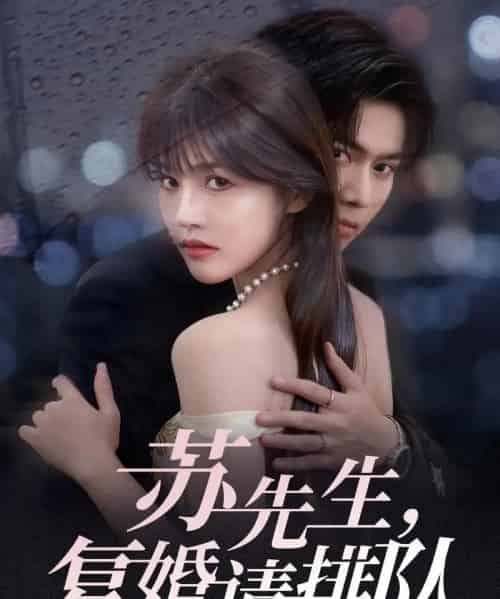 苏先生，复婚请排队（70集全）李沐阳＆曹千祎-搜外项目网