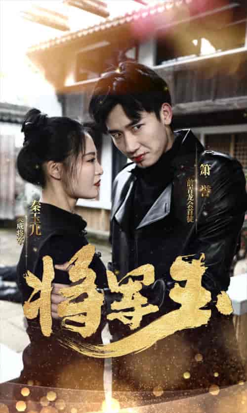 将军玉（85集）张震-搜外项目网