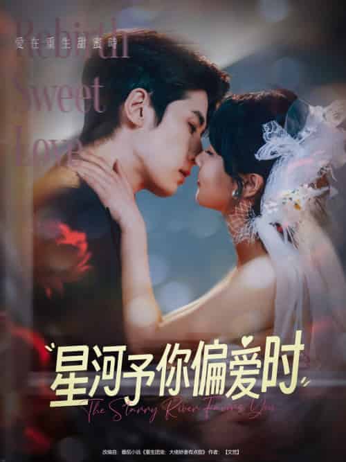 星河予你偏爱时（79集）林枫松＆陈羽翎-搜外项目网