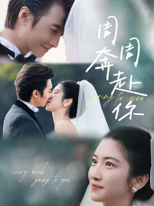 周周奔赴你（80集）淮文＆付妤舒-搜外项目网