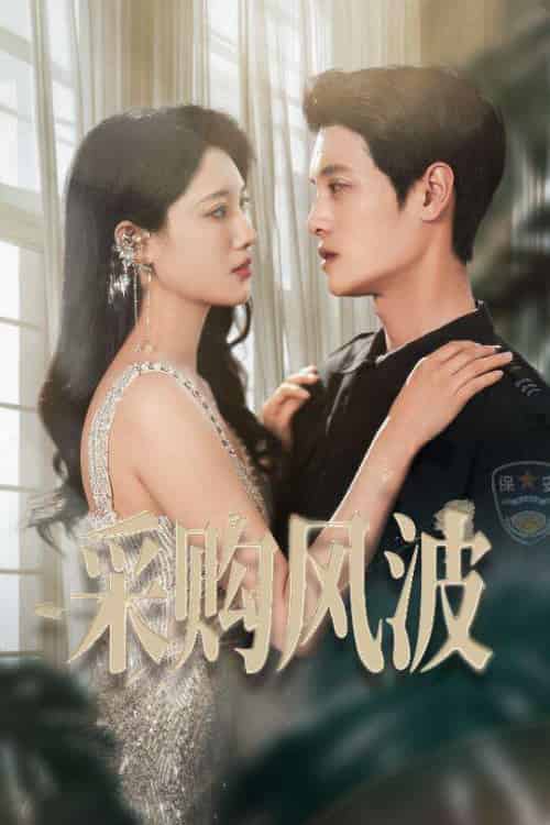 采购风波（45集）刘方为＆王熳熳-搜外项目网