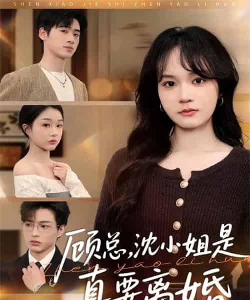 顾总,沈小姐是真要离婚(81集全)武帅康&彭慧玲-搜外项目网