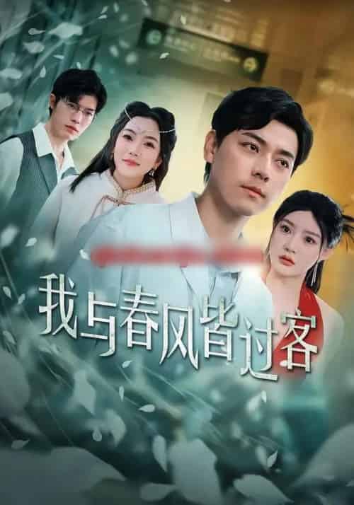 我与春风皆过客(40集全)袁志颖&陈洁蕾-搜外项目网